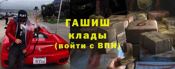 крисы Кулебаки